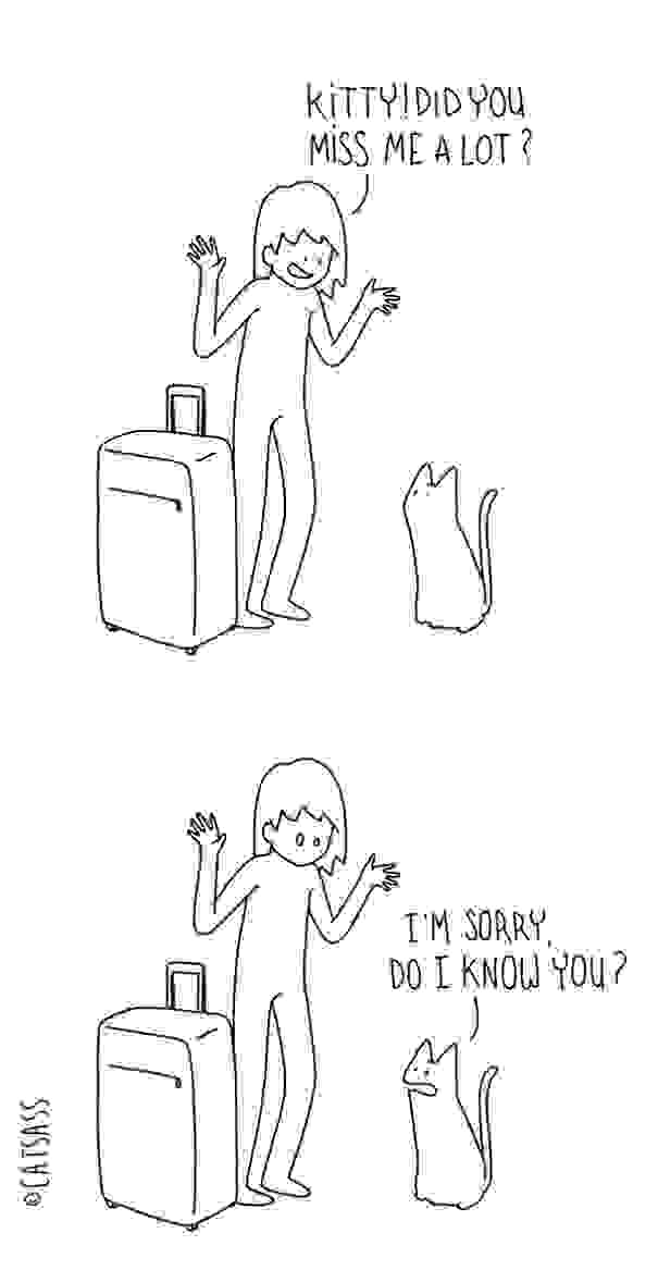 Catsass-Me-my-pet-human-and-myself48__605.jpg