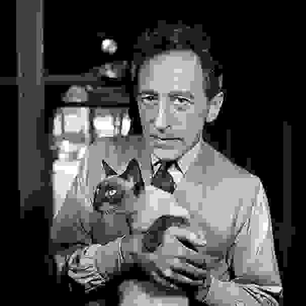 Cocteau-cats-15.jpg