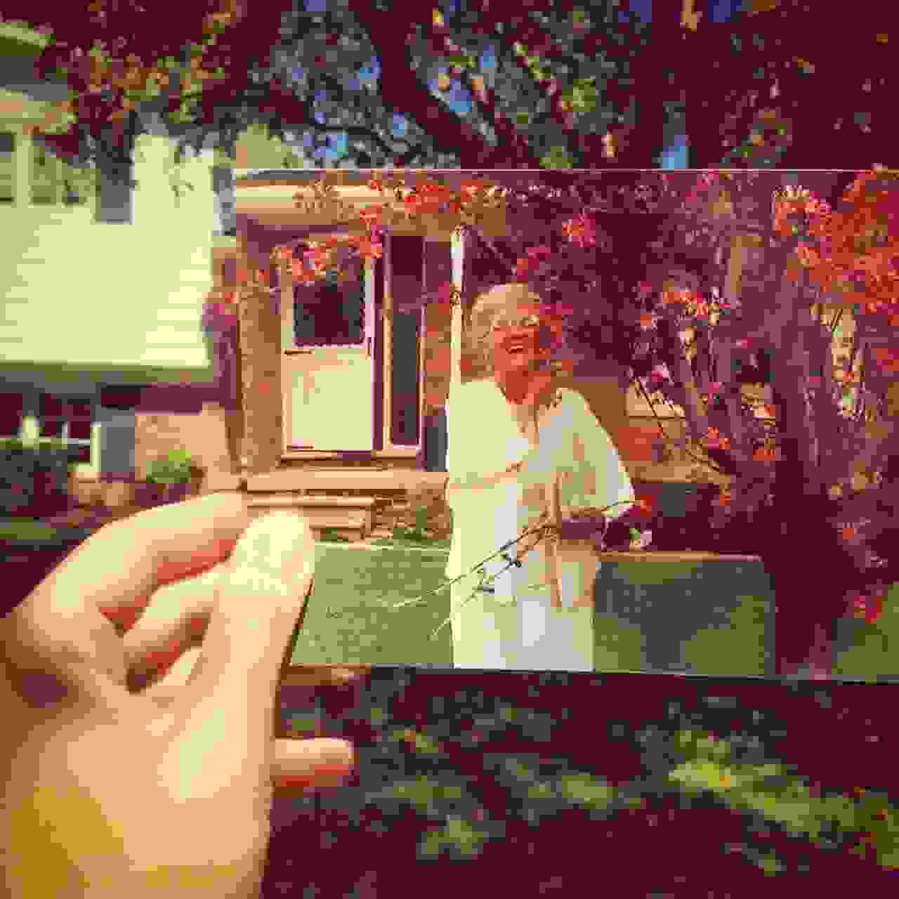 DearPhotograph.jpg