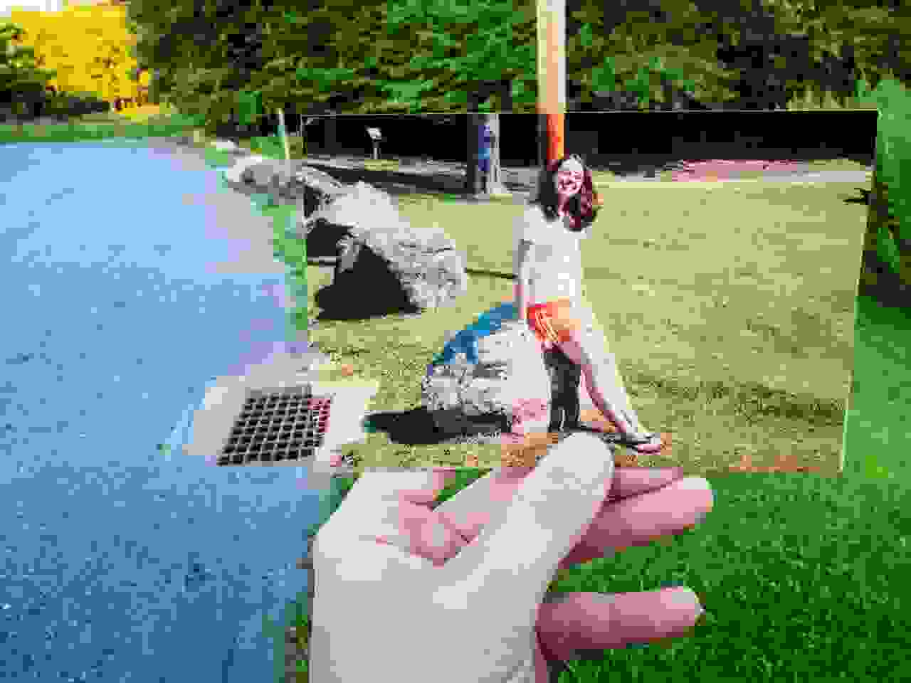 DearPhotograph0.jpg