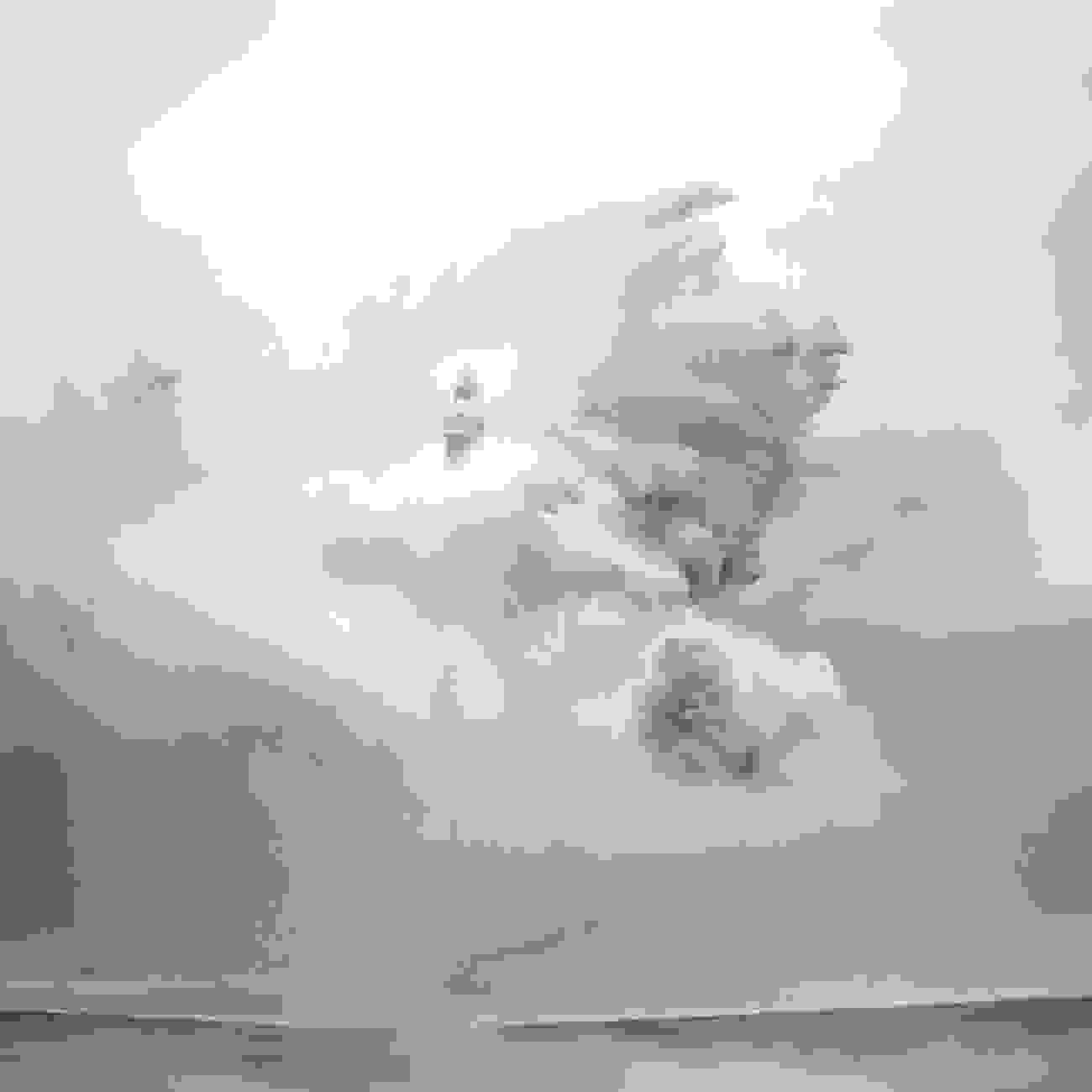 Faroi-06.jpg