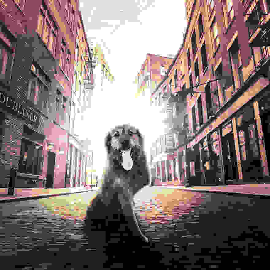 Fergus-s1__880.jpg