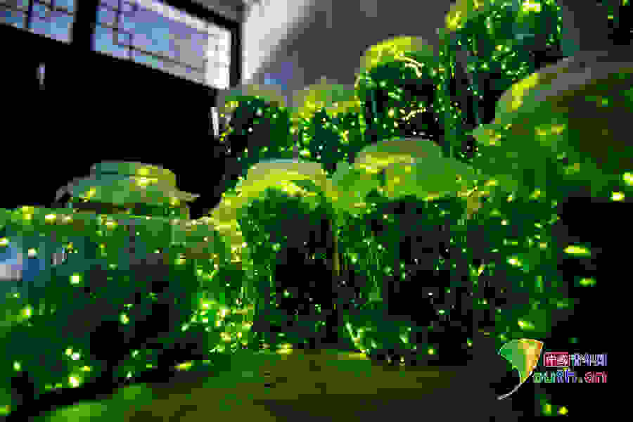 Firefly-park-2.jpg