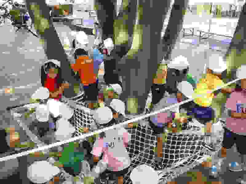 Fuji-Kindergarten09.jpg