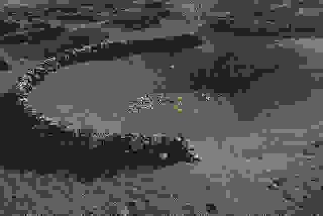 Grapes_Volcanic_Island_10.jpg
