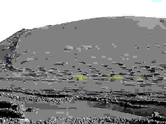 Grapes_Volcanic_Island_11.jpg