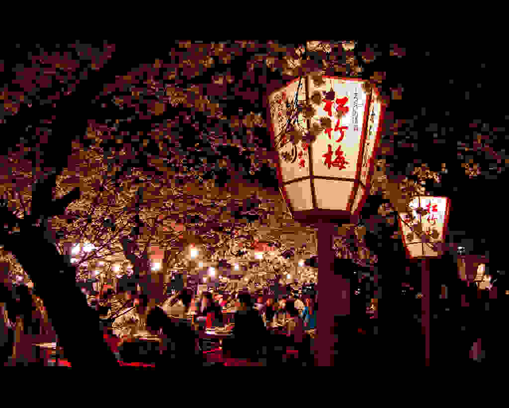 Hanami-Kyoto.jpg