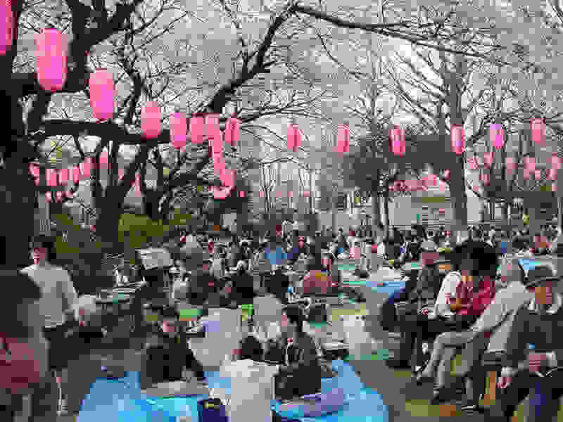 Hanami11.jpg