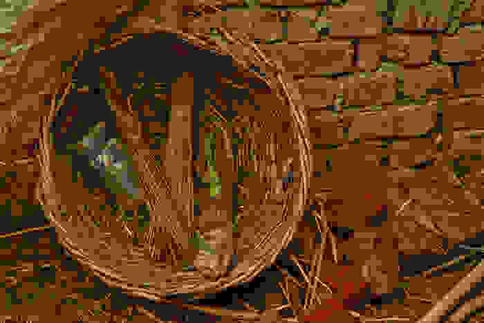 India-ManualScavenging-Basket.jpg