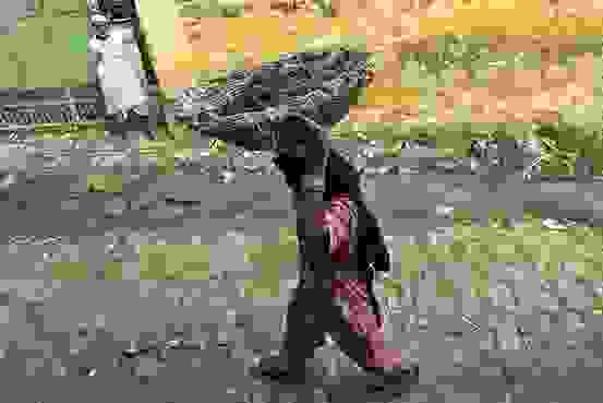 India-ManualScavenging.jpg