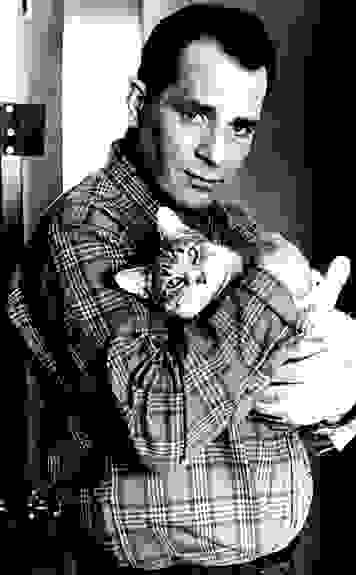 Jack-Kerouac-cat.jpg