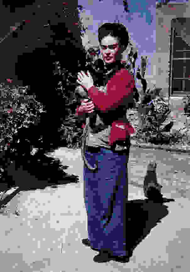 Kahlo-cats-20.jpg