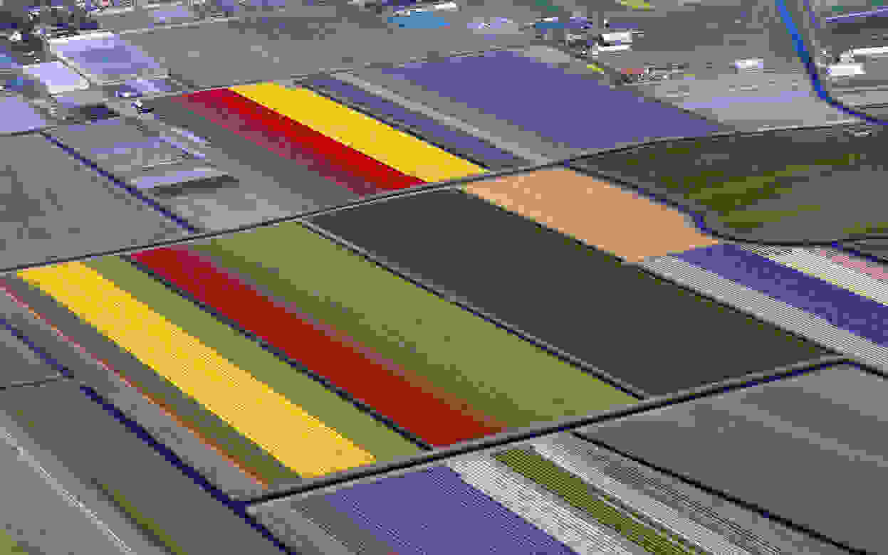 Keukenhof7.jpg