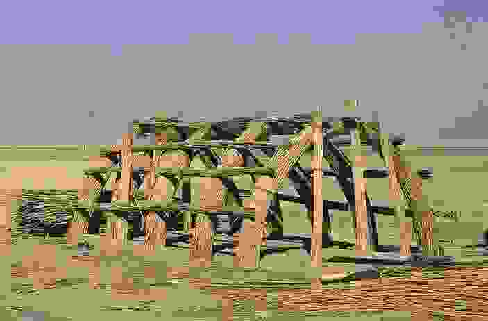 Madan6.jpg