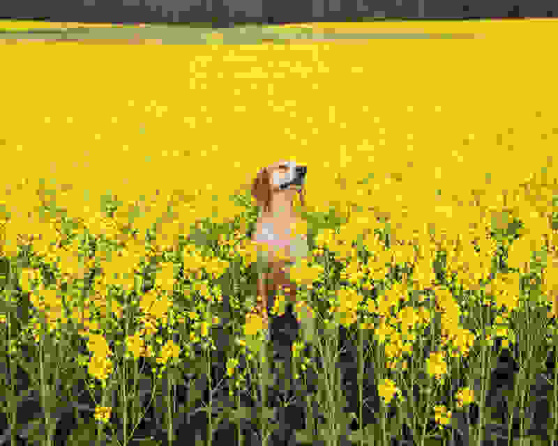 Maddie-John-Deere15.jpg