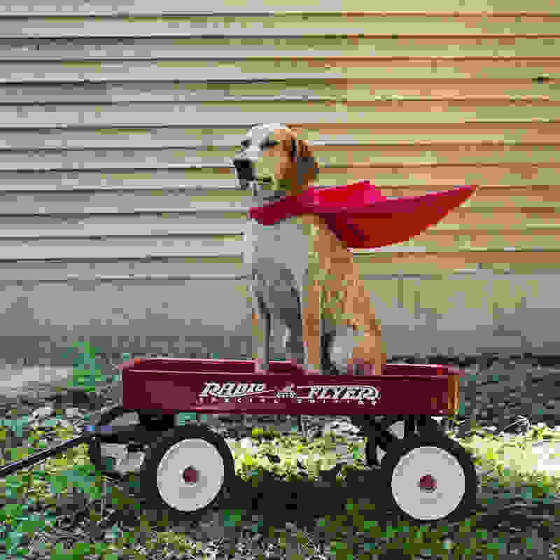 Maddie-John-Deere18.jpg
