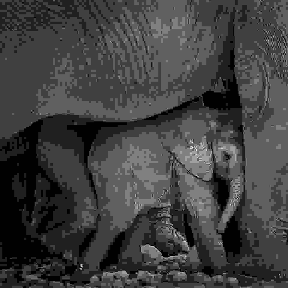 Marina-Cano-Wildlife-Photographer2.jpg