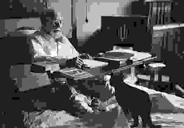 Matisse-cats-3.jpg