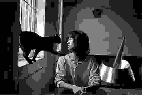 MayaLin-cats-18.jpg