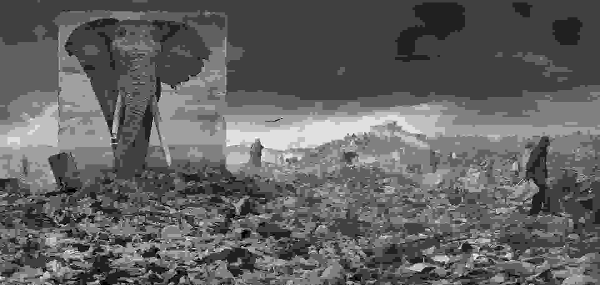NickBrandt.jpg
