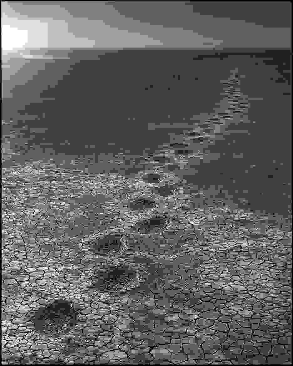 Nick_Brandt06.jpg