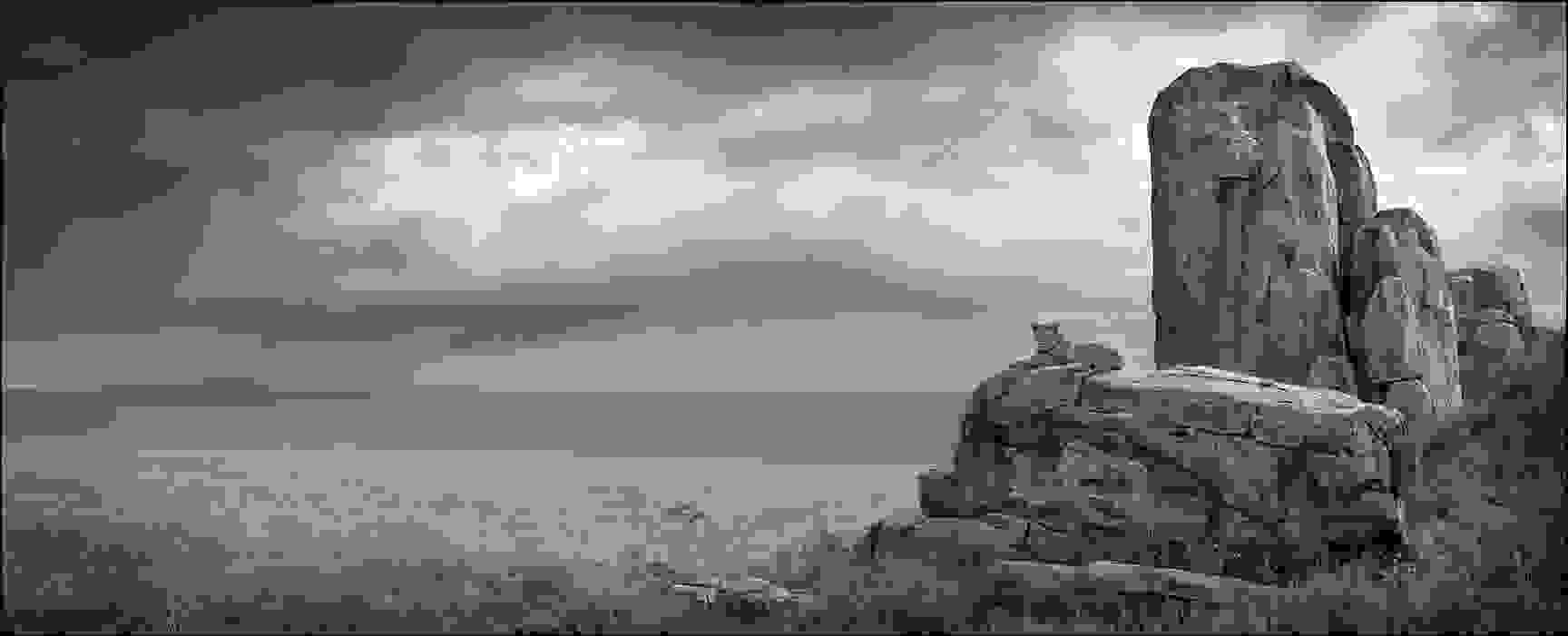 Nick_Brandt16.jpg