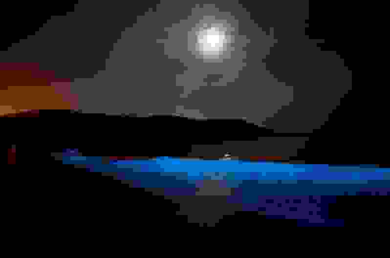 Noctiluca-scintillans-b.jpg