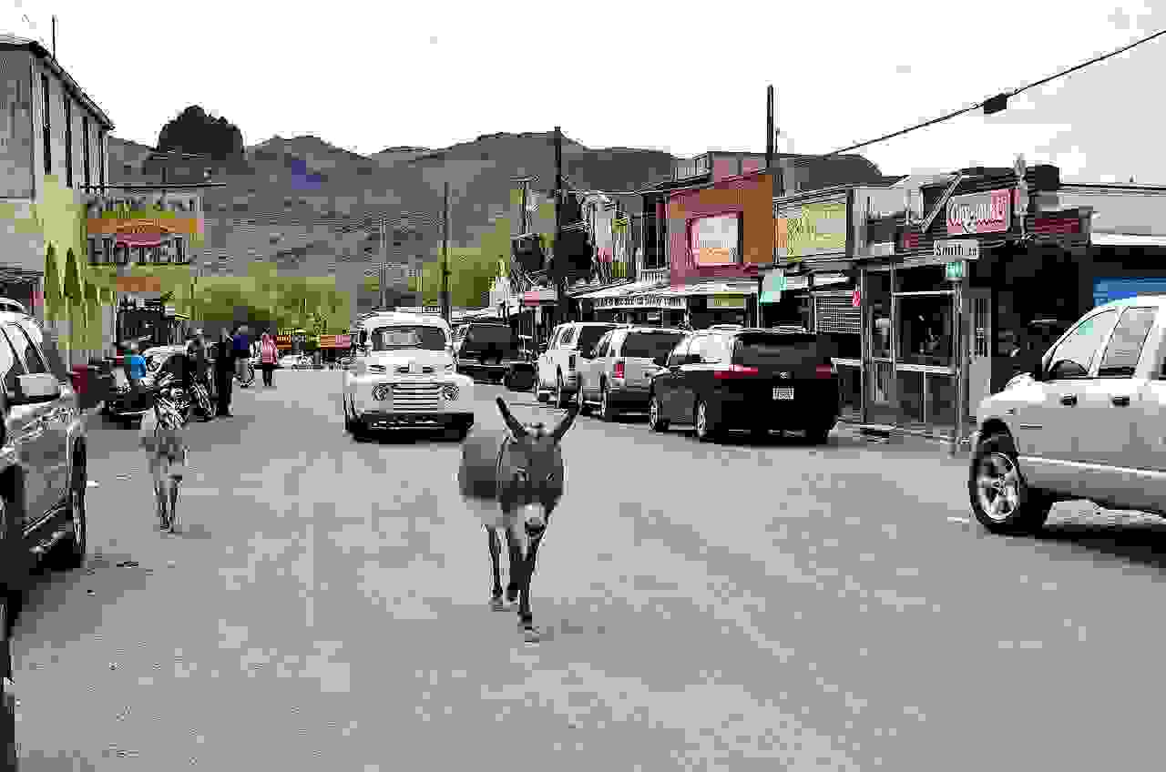 Oatman-01.jpg