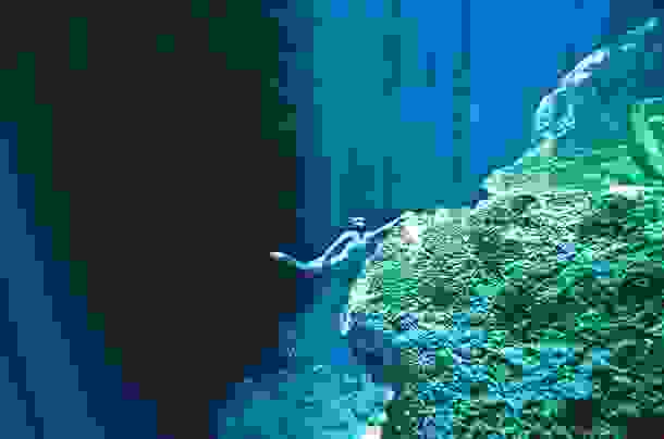 One-Ocean-One-Breath-1.jpg