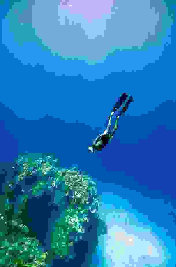 One-Ocean-One-Breath-11.jpg