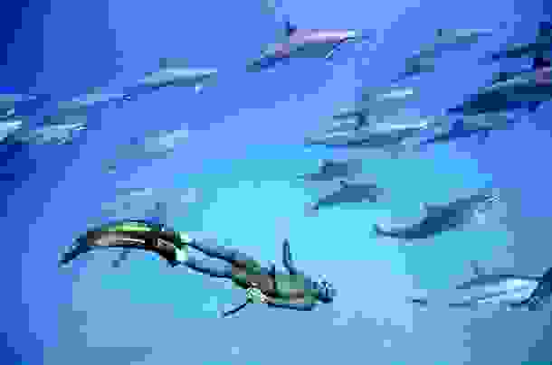 One-Ocean-One-Breath-12.jpg