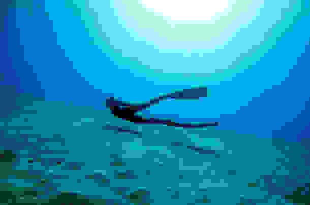 One-Ocean-One-Breath-14.jpg