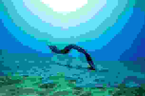 One-Ocean-One-Breath-15.jpg