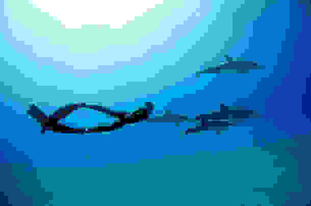 One-Ocean-One-Breath-16.jpg