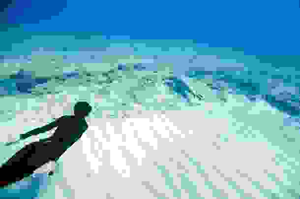 One-Ocean-One-Breath-17.jpg