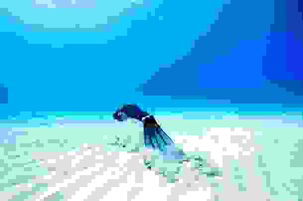 One-Ocean-One-Breath-18.jpg