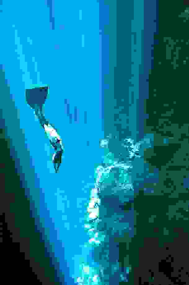 One-Ocean-One-Breath-3.jpg