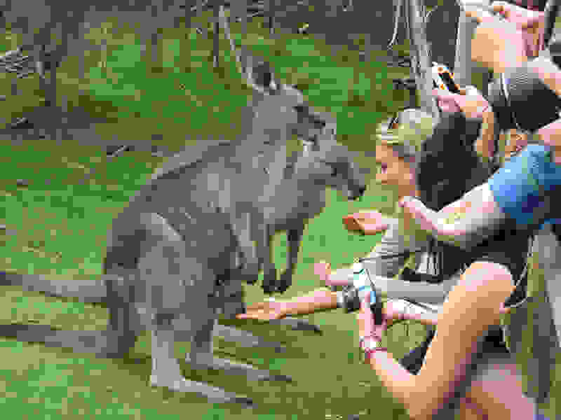 Parade-Phillip-Island-1.jpg