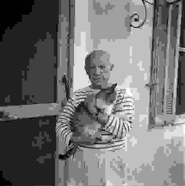 Picasso-cats-4.jpg