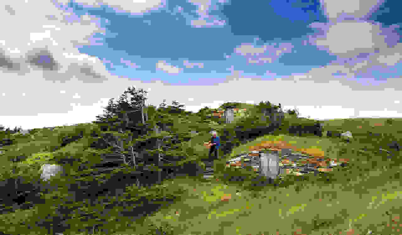 Root_Cellar_Elliston_1DX_4325_EDIT.jpg