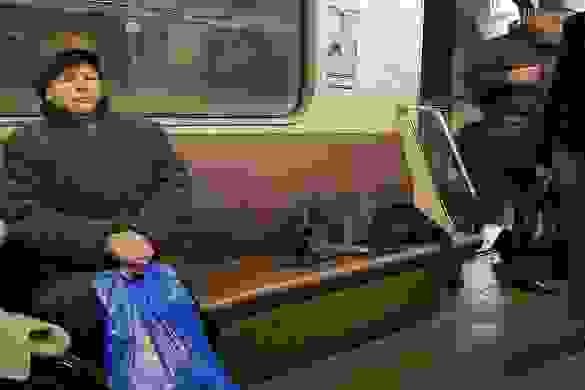 Russian-Subway-Dogs1.jpg