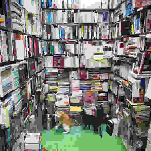 SAM-Book-Company-12.jpg