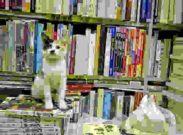 SAM-Book-Company-2.jpg