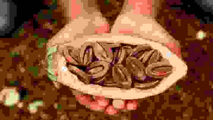 SOKOLATOPOIIA-2.jpg