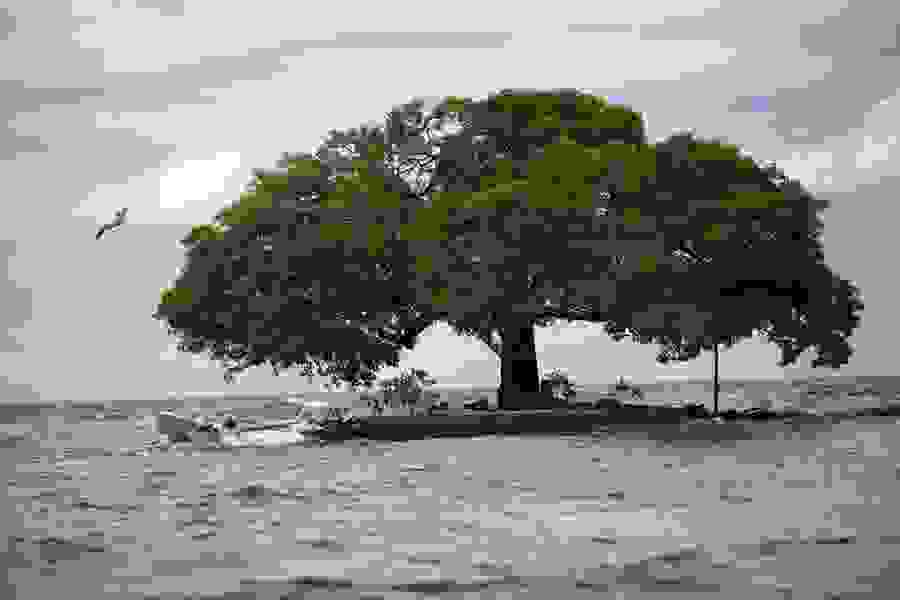 Santa-Cruz-del-Islote40.jpg