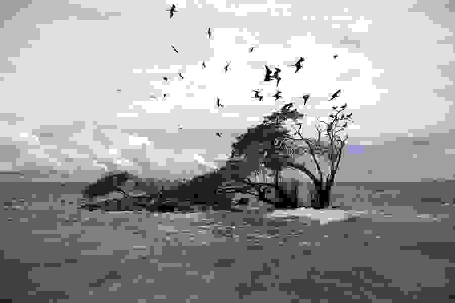 Santa-Cruz-del-Islote41.jpg