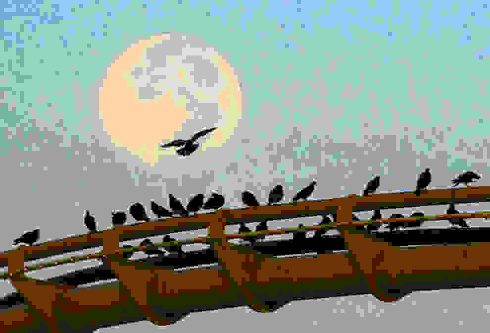 SantaMonica5.jpg