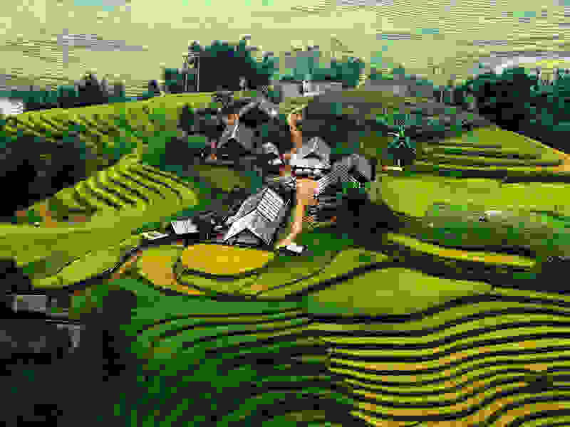 Sapa.jpg