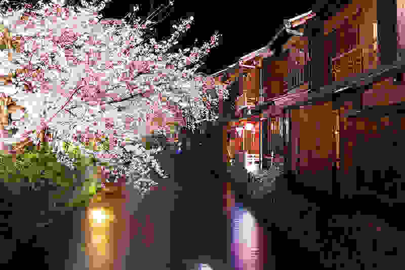 Shirakawa2.jpg