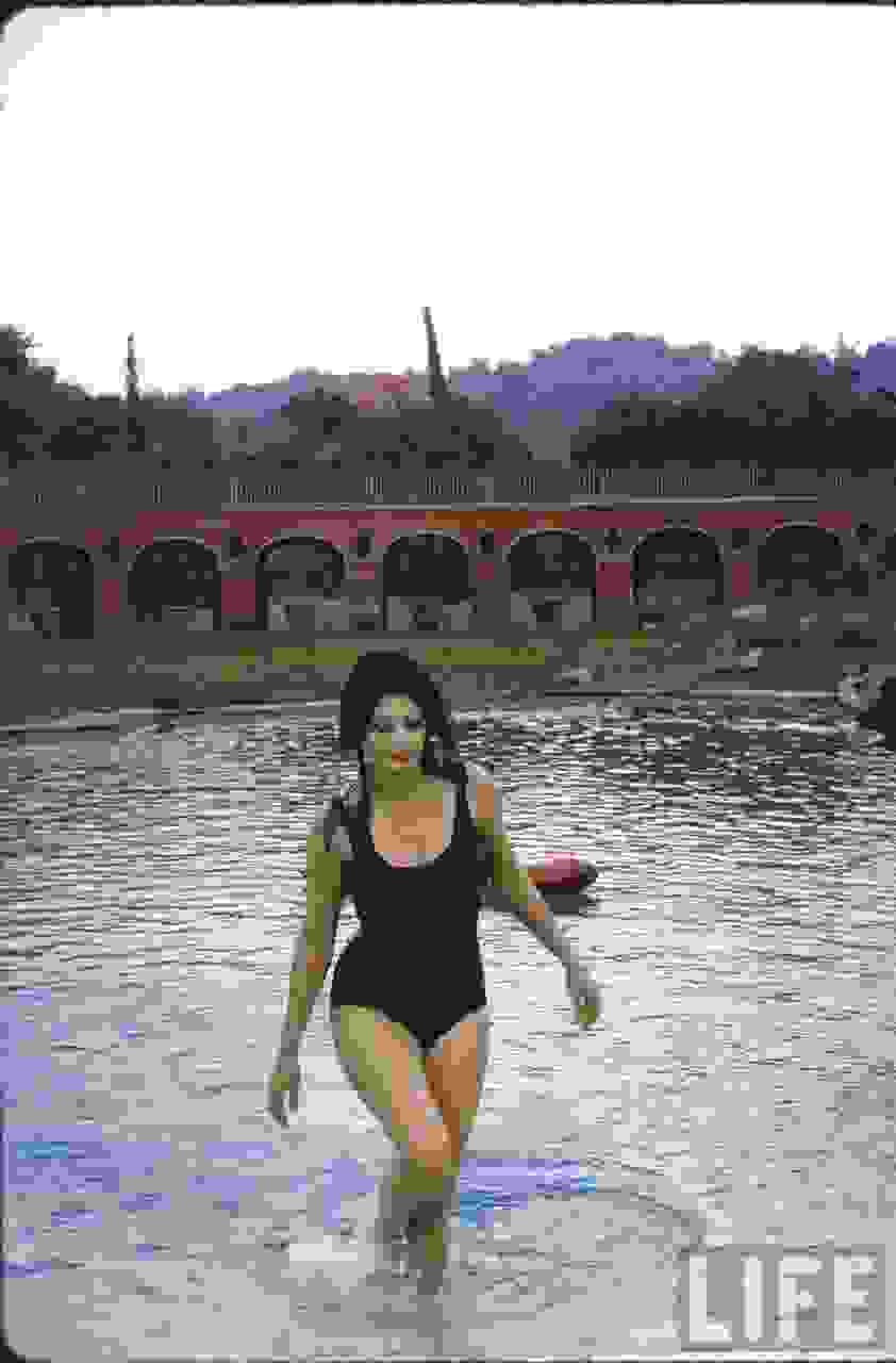 Sophia_Loren_.jpg